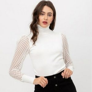 Cute Mesh Sleeve Knit Turtleneck - White